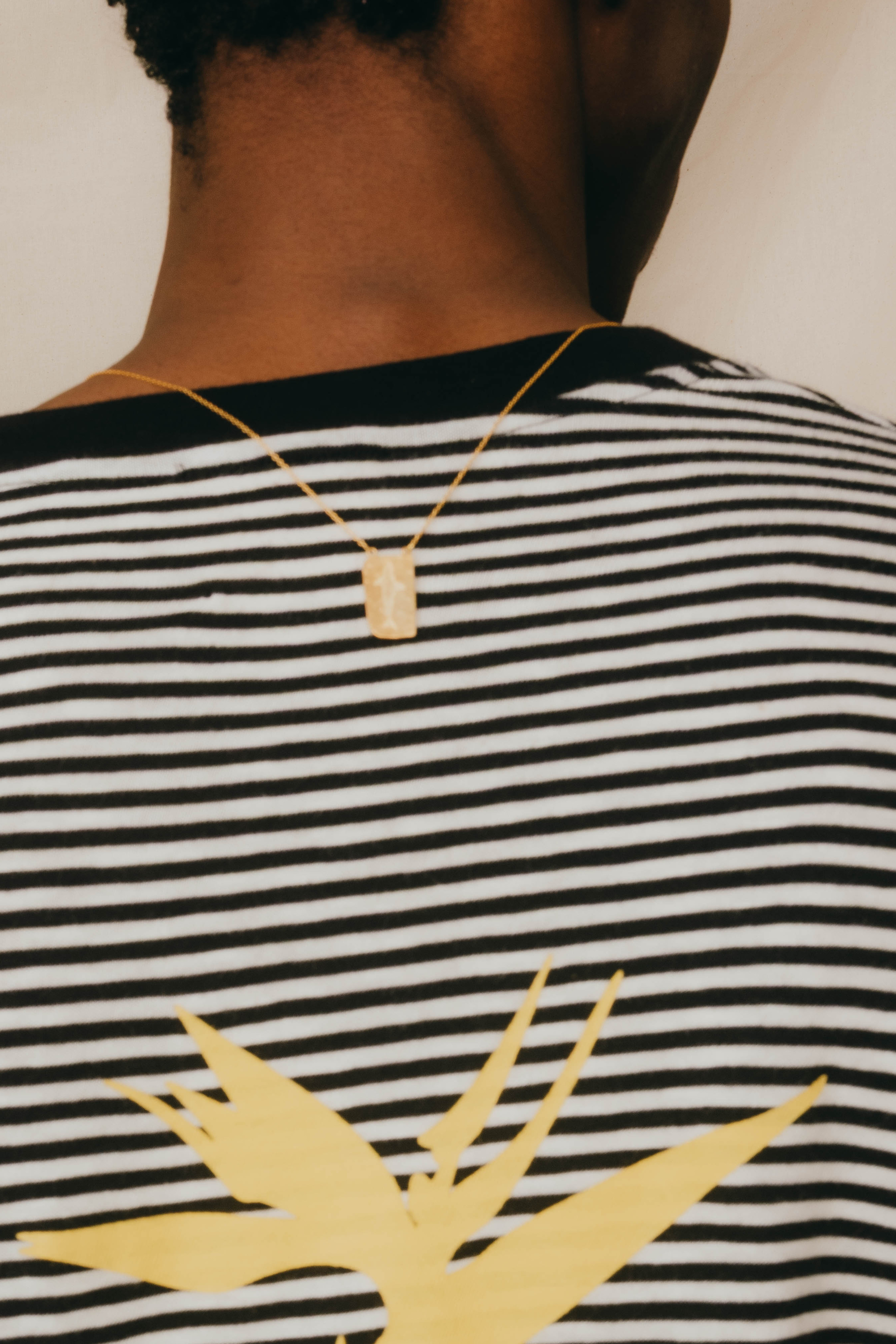 SHARK SCAPULAR