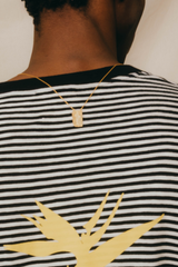 SHARK SCAPULAR