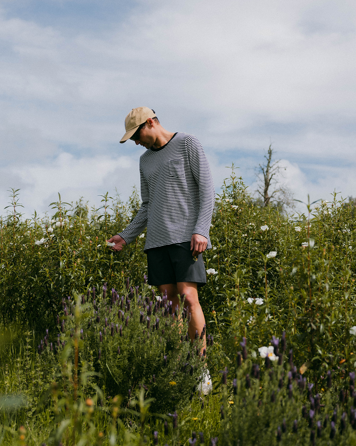 LONG SLEEVE STRIPES BLACK/OFF-WHITE