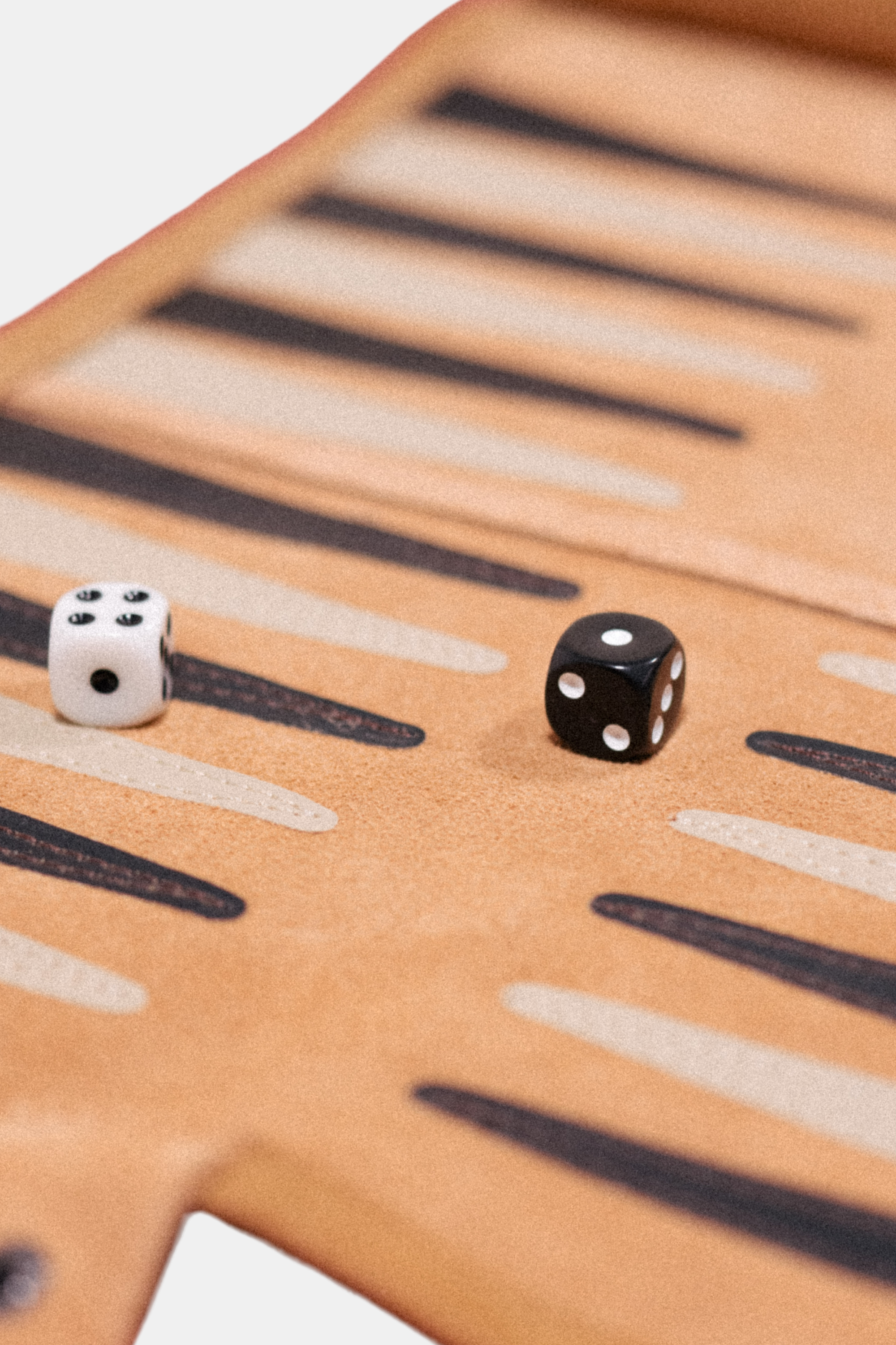 BACKGAMMON +351 CAMEL