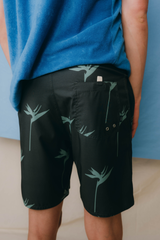 BOARDSHORTS GRAPHIC BOTANIC