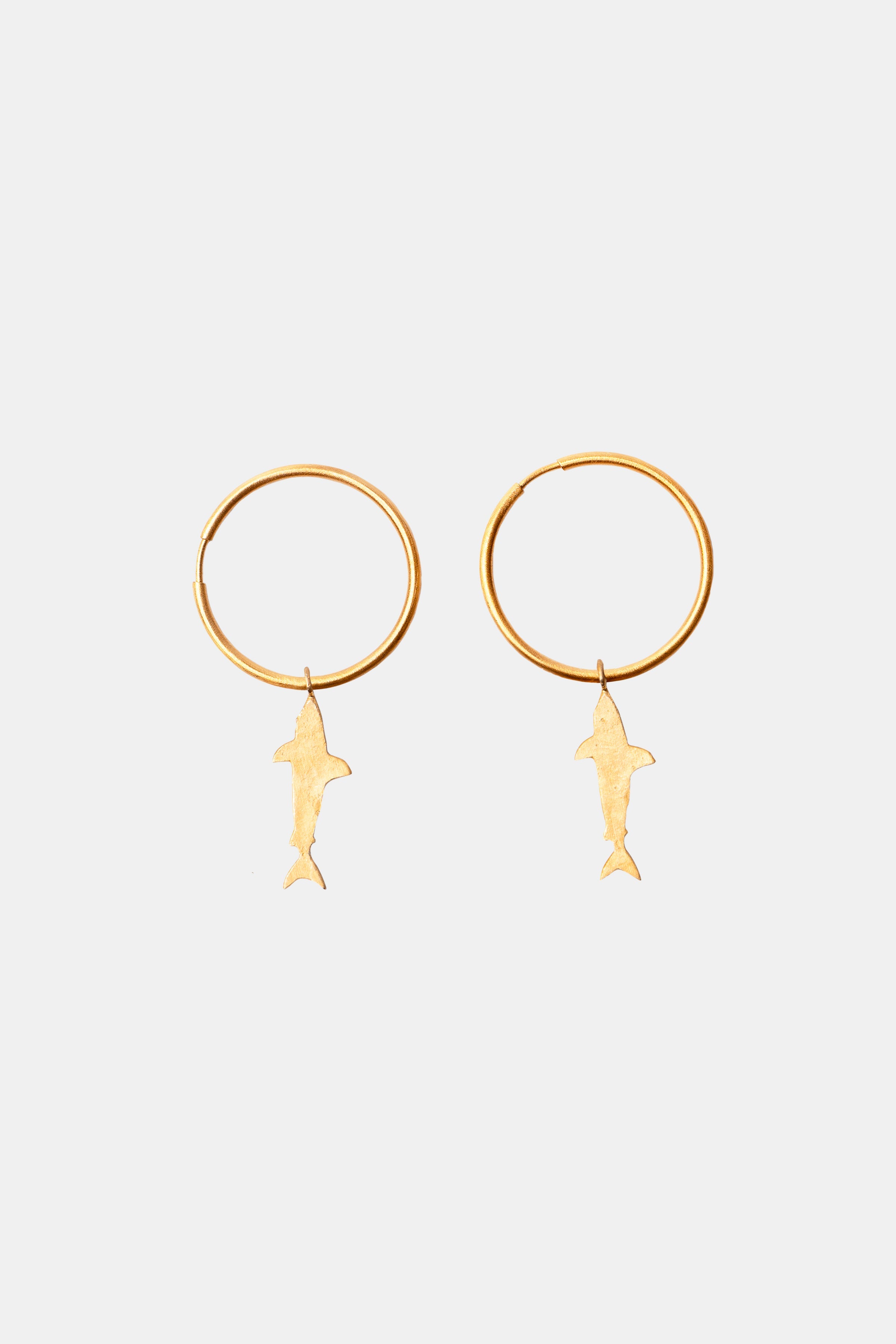 HOOPS SHARK MEDIUM