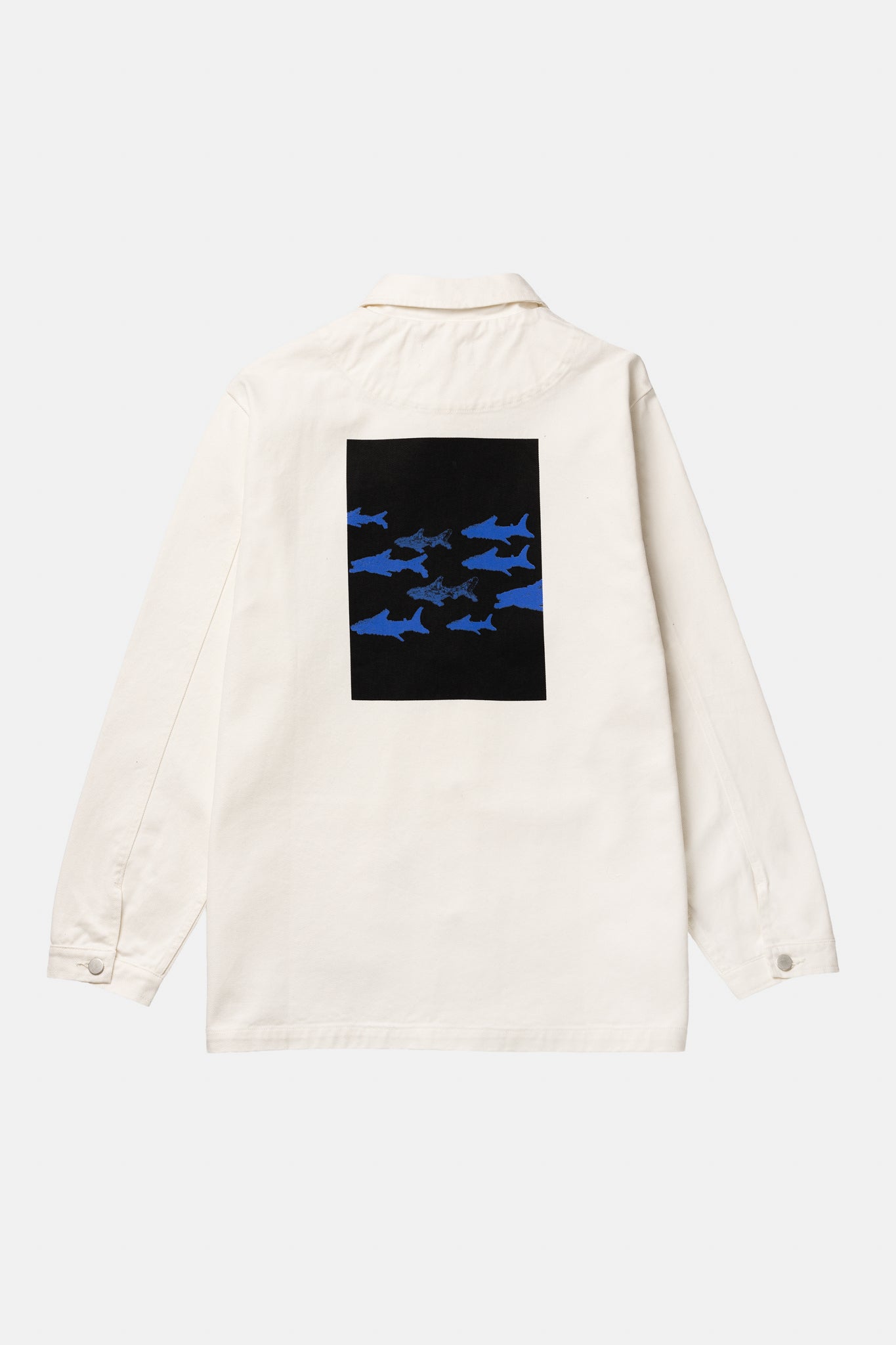 JACKE CANVAS SONDEREDITION BIG SHARK