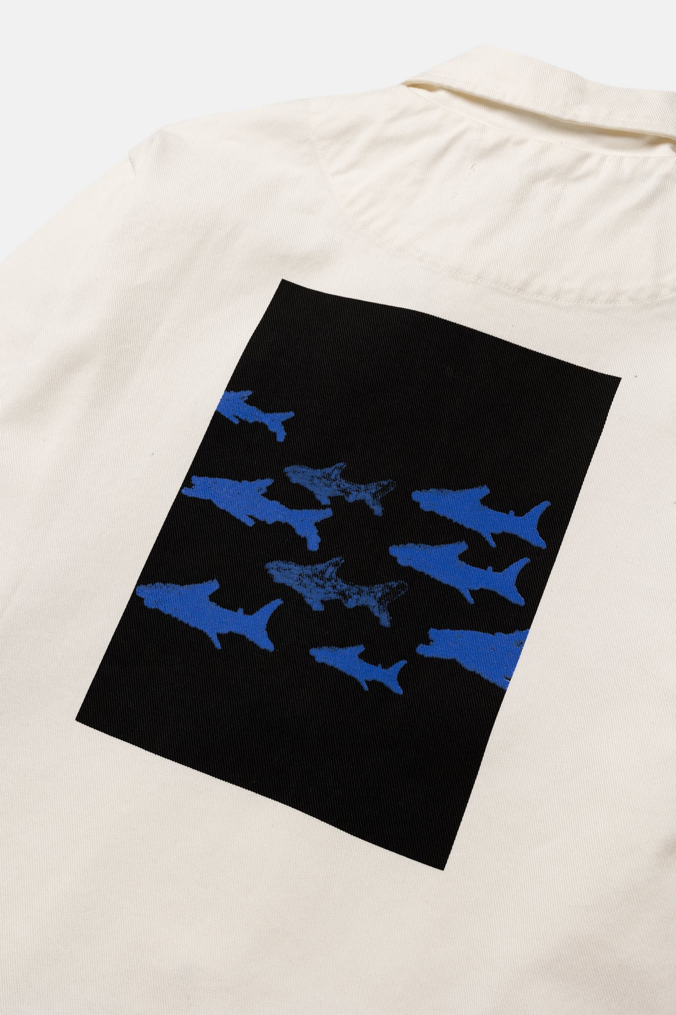 JACKE CANVAS SONDEREDITION BIG SHARK