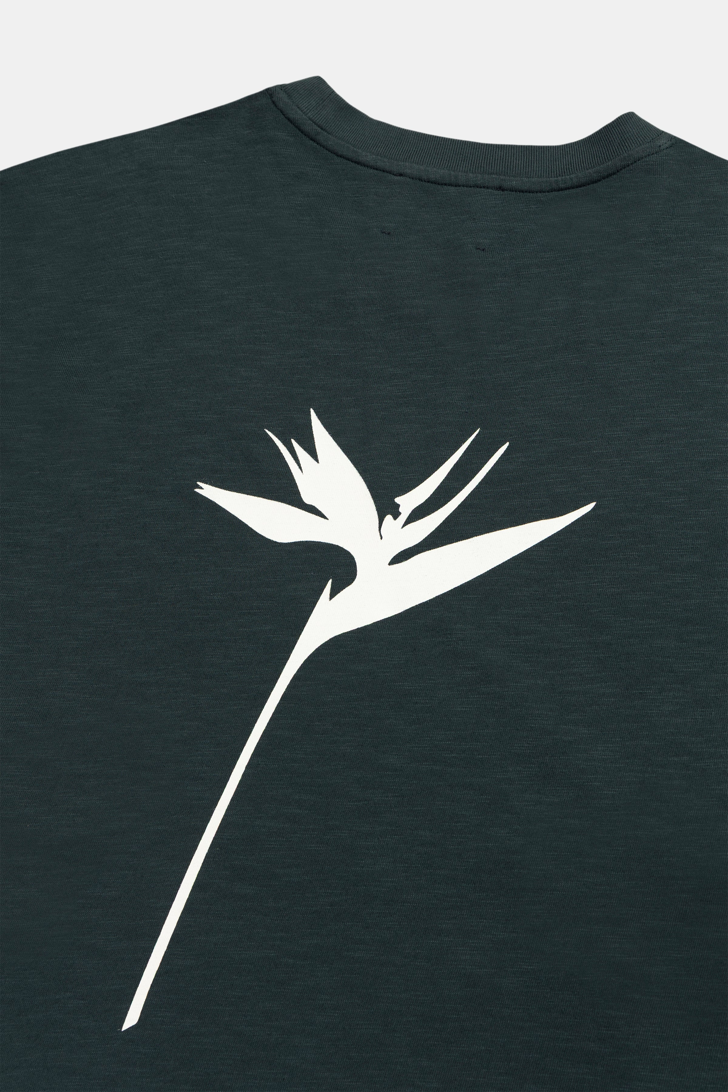 LONG SLEEVE RIB GRAPHIC BOTANIC