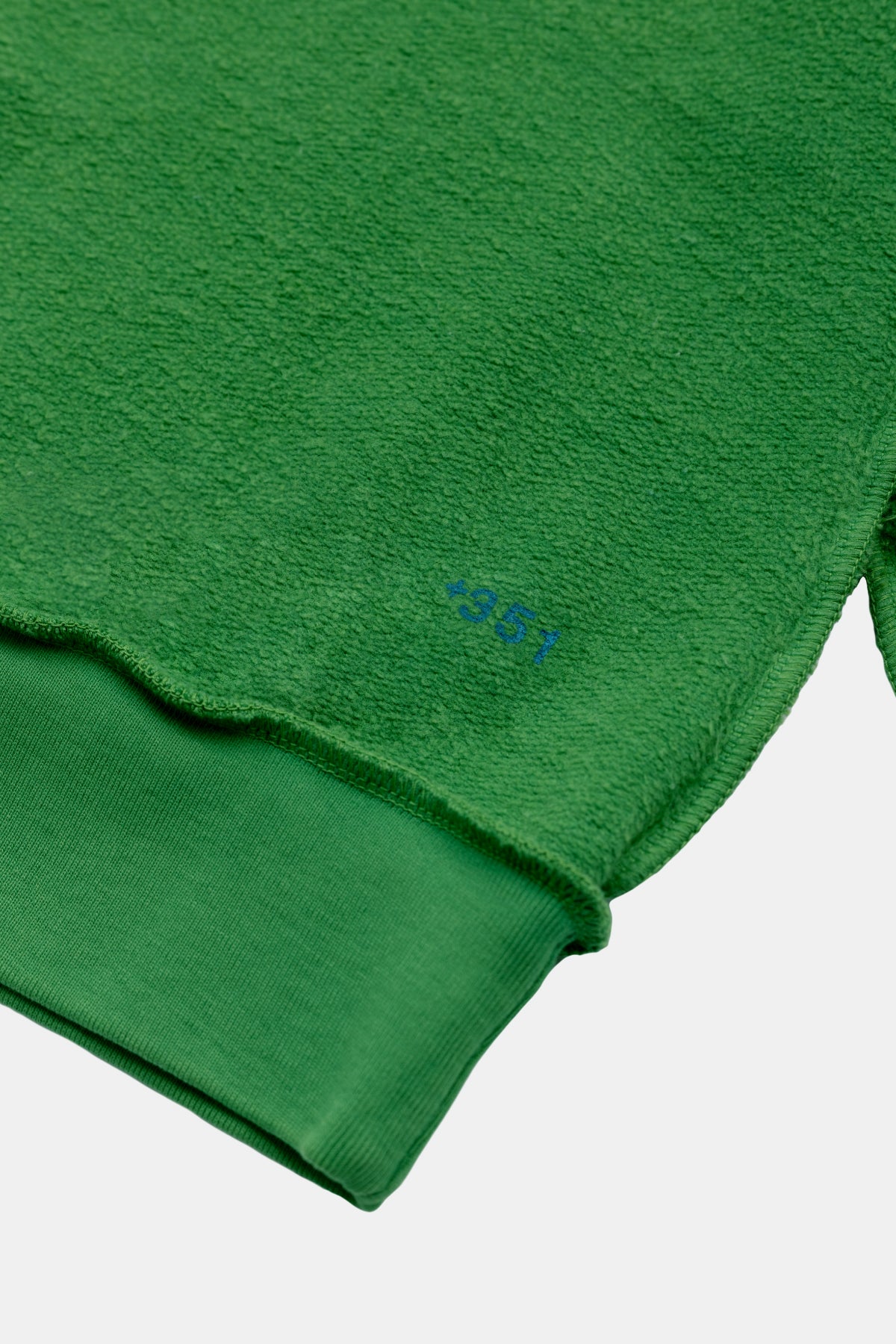 SWEATSHIRT GRAPHIC FREQUENCY INSIDE OUT TURTLE GREEN/STEEL B