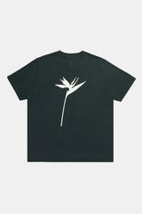 T-SHIRT RIB GRAPHIC BOTANIC