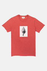 T-SHIRT GRAPHIC SEASHELL FRAMBOISE