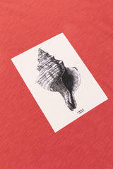 T-SHIRT GRAPHIC SEASHELL FRAMBOISE