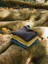 POLO LONG SLEEVE TERRY PASTEL GREEN